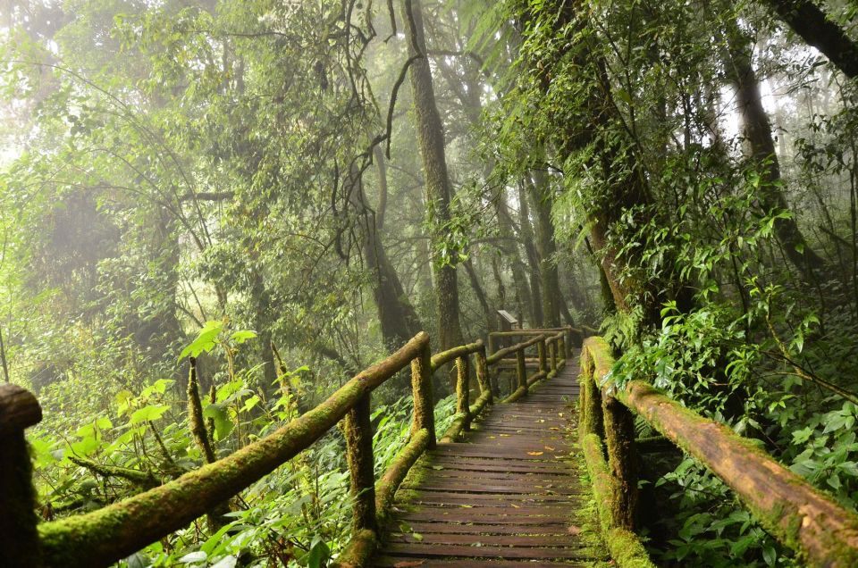 Chiang Mai: Pha Dok Siew Nature Trail & Doi Inthanon Trip - Why This Combo Works: Pha Dok Siew Meets Doi Inthanon