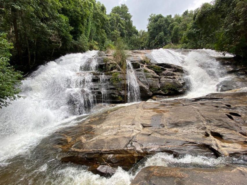 Chiang Mai: Pha Dok Siew Nature Trail & Doi Inthanon Trip - Entering the Pha Dok Siew Nature Trail: The 7-Tier Waterfall Walk