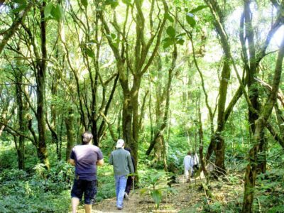 Chiang Mai: Pha Dok Siew Nature Trail & Doi Inthanon Trip - Price and Logistics: What You Pay (and What You Don’t)