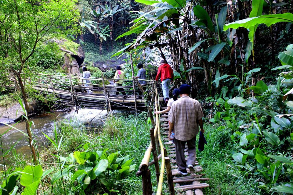 Chiang Mai: Pha Dok Siew Nature Trail & Doi Inthanon Trip - Forest-to-Table Knowledge: How the Guide Makes It Interesting