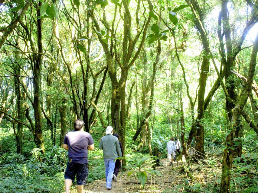 Chiang Mai: Pha Dok Siew Nature Trail & Doi Inthanon Trip - Price and Logistics: What You Pay (and What You Don’t)