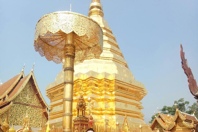 Chiang Mai Private Tour with Tea Plantation, Karen Village, Doi Suthep - Tea Plantation Tour: Organic Tea Learning You Can Use