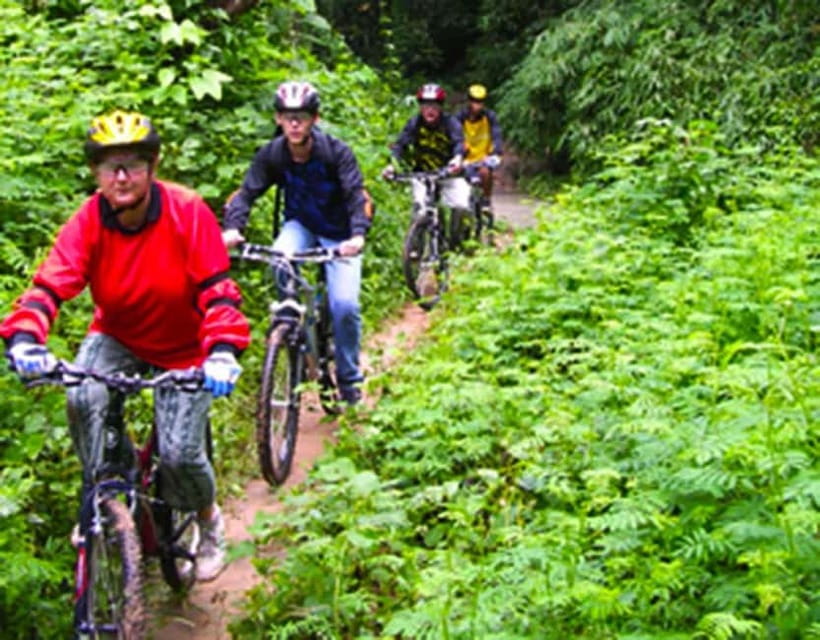 Chiang Mai: Rainforest Guided Mountain Biking Tour - Key Things I’d Bring Up Before You Book