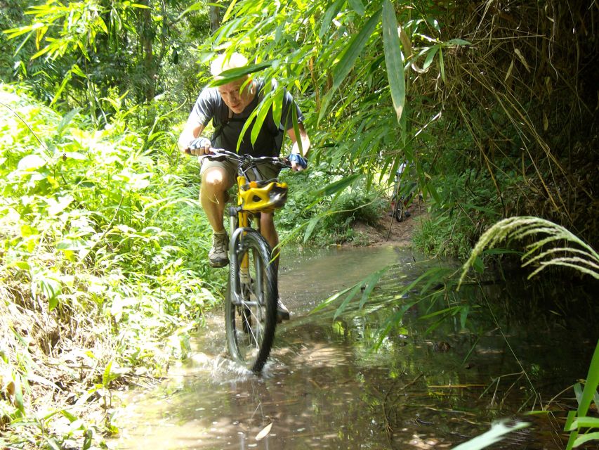 Chiang Mai: Rainforest Guided Mountain Biking Tour - Weather and Rain or Shine: How to Ride Smart When the Trails Change