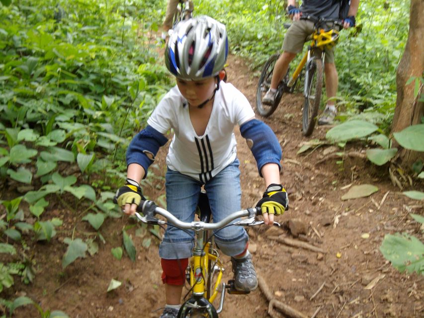 Chiang Mai: Rainforest Guided Mountain Biking Tour - Price and Value at $62: What You’re Actually Paying For