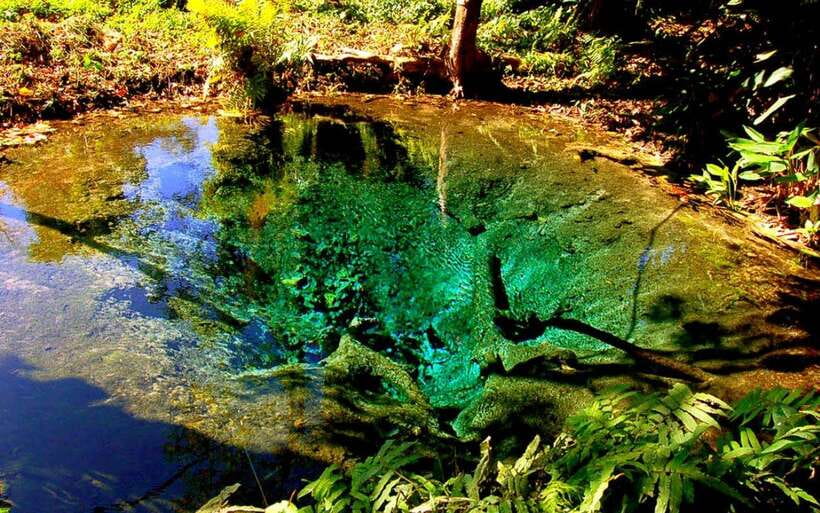 Chiang Mai: Sticky Waterfall, Chet Si Fountain Park Transfer - Key things to know before you go