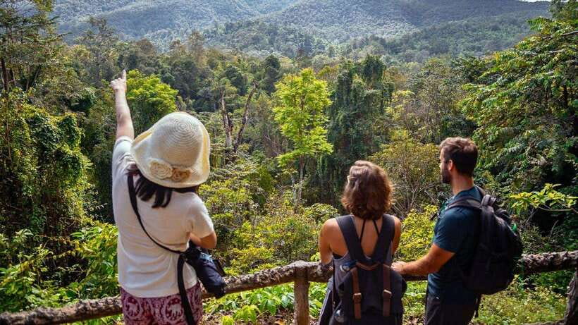 Chiang Mai: Sticky Waterfall, Chet Si Fountain Park Transfer - Sticky Waterfall Climbing: What makes Bua Thong feel different