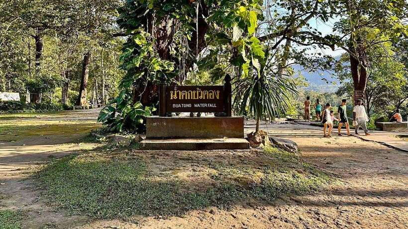 Chiang Mai: Sticky Waterfall, Chet Si Fountain Park Transfer - Chet Si Fountain National Park: why this stop is worth fitting in
