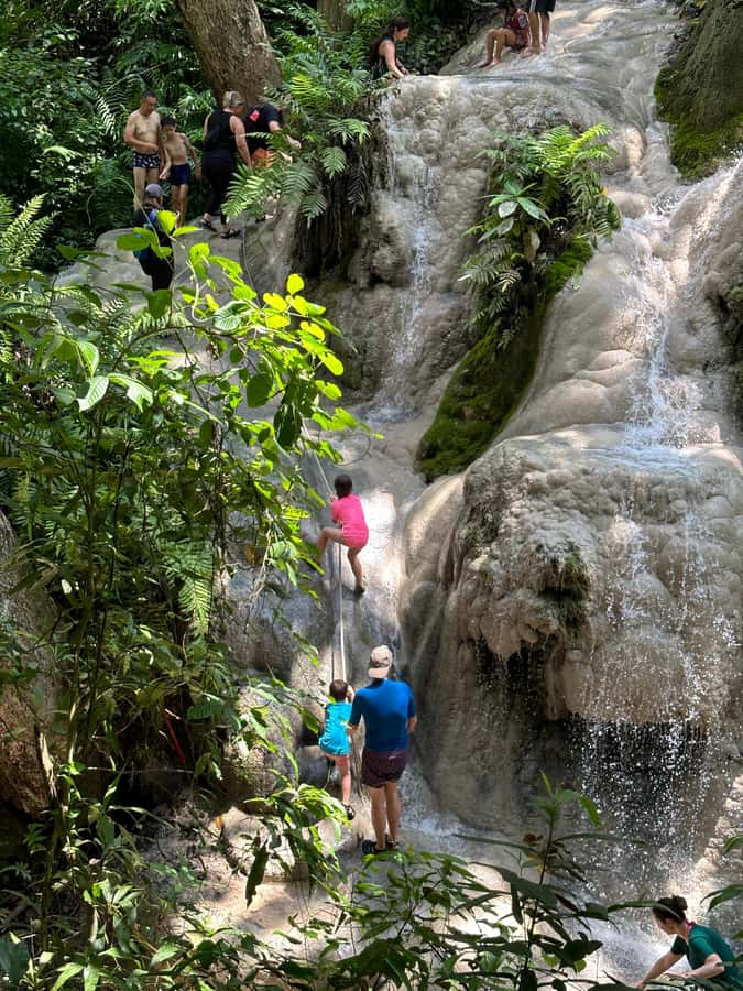 Chiang Mai : Sticky waterfall (Half Day Tour) Hotel Transfer - Key Highlights You’ll Actually Use