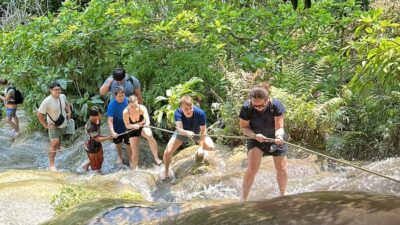 Chiang Mai : Sticky waterfall (Half Day Tour) Hotel Transfer - What Makes Bua Tong, the Sticky Waterfall, Worth Your Time