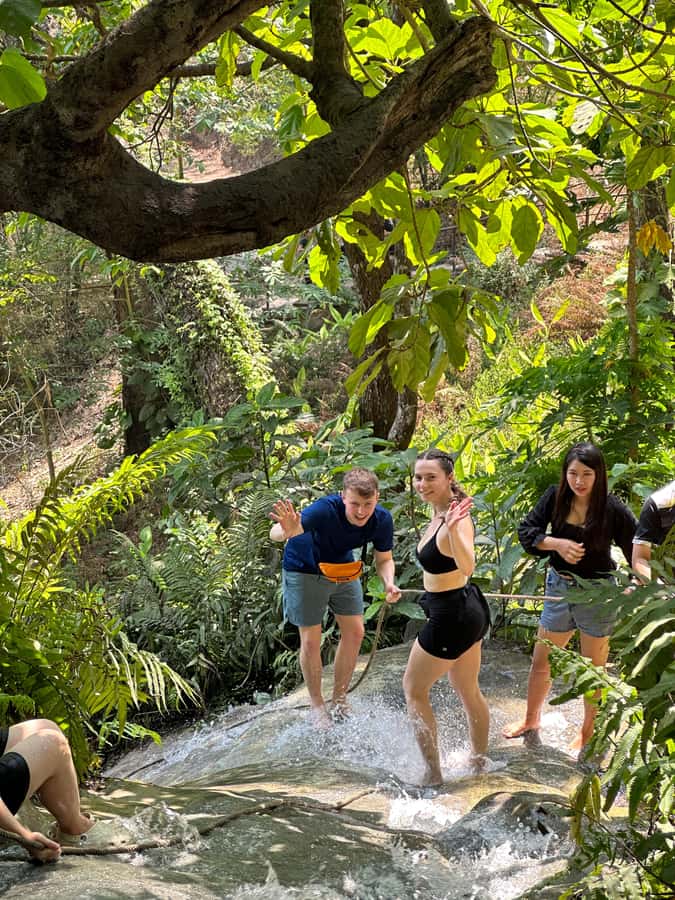 Chiang Mai : Sticky waterfall (Half Day Tour) Hotel Transfer - Hotel Pickup and the Specific Meet Points Outside the Center