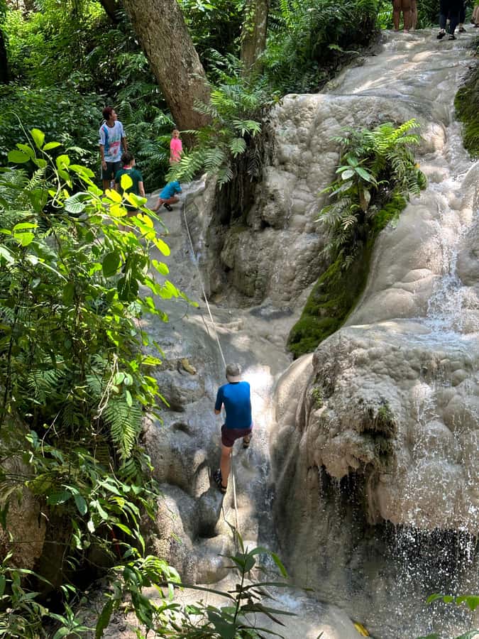 Chiang Mai : Sticky waterfall (Half Day Tour) Hotel Transfer - The On-Site Experience: 2 Hours to Climb, Explore, and Cool Off