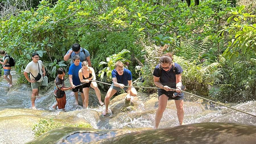 Chiang Mai : Sticky waterfall (Half Day Tour) Hotel Transfer - What Makes Bua Tong, the Sticky Waterfall, Worth Your Time