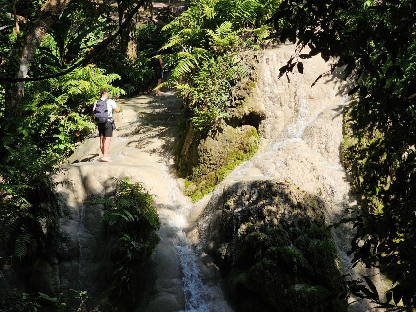 Chiang Mai: Sticky Waterfall Half-Day Tour & Hotel Transfers - Key things to know before you go