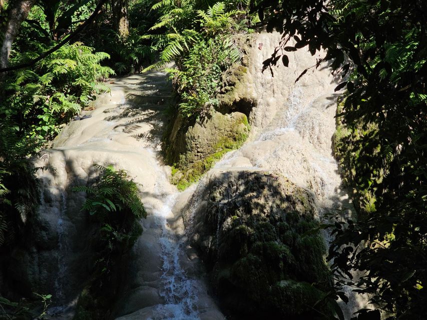 Chiang Mai: Sticky Waterfall Half-Day Tour & Hotel Transfers - Bua Thong Sticky Waterfall: what this half-day is really like
