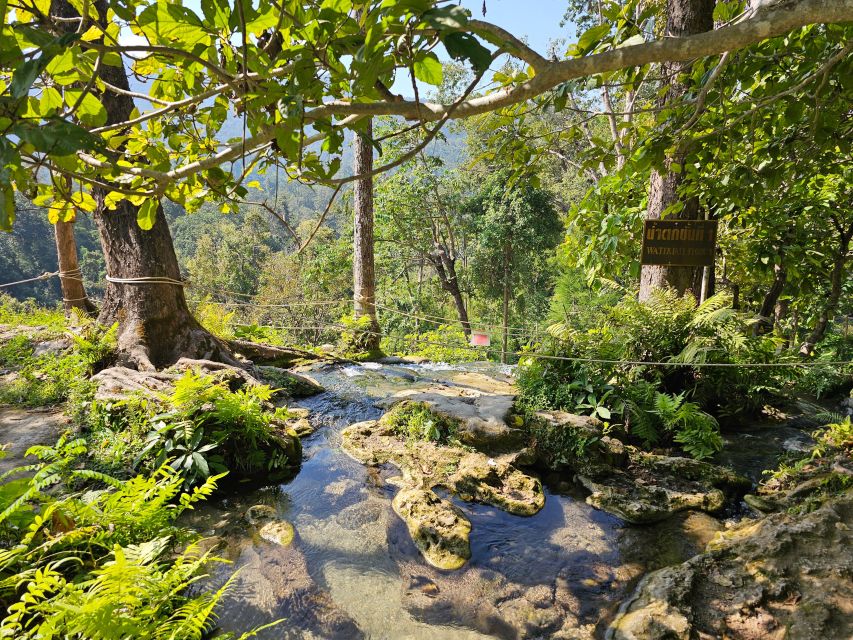 Chiang Mai: Sticky Waterfall Half-Day Tour & Hotel Transfers - Si Lanna National Park entry: short nature time, good bird spotting