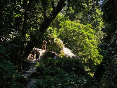 Chiang Mai: Sticky Waterfall Half-Day Tour & Hotel Transfers - Hotel pickup and the ride out of central Chiang Mai