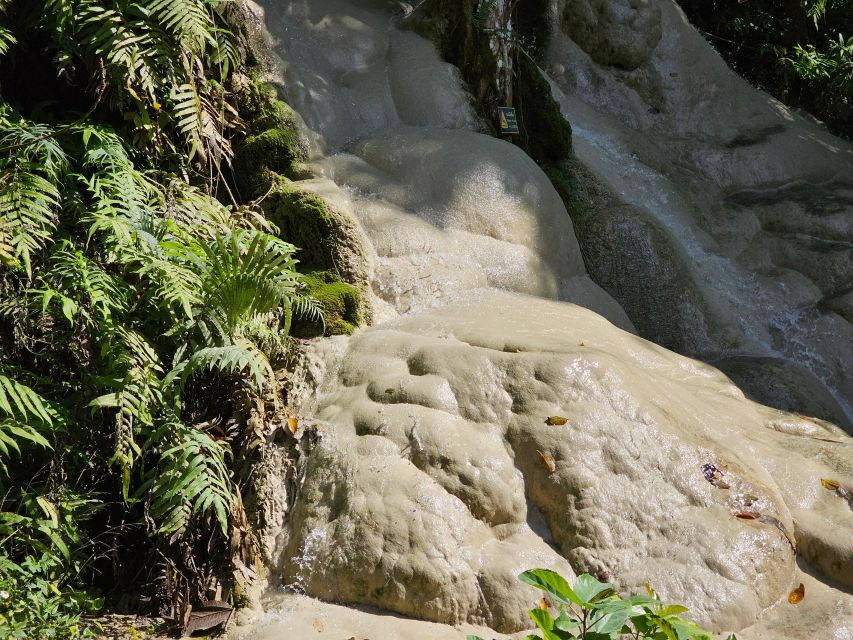 Chiang Mai: Sticky Waterfall Half-Day Tour & Hotel Transfers - Climbing Bua Thong: how the route works and how to use your 2 hours