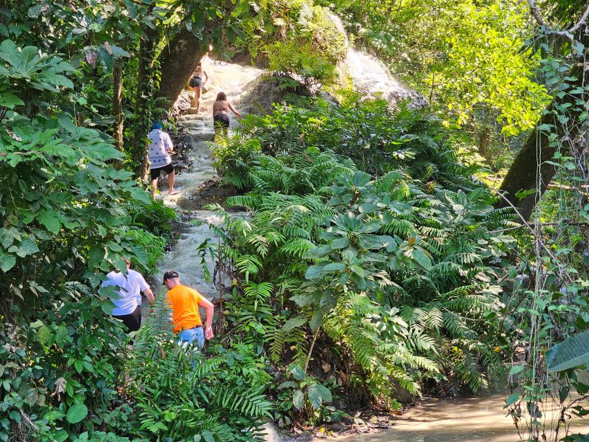 Chiang Mai: Sticky Waterfall Half-Day Tour & Hotel Transfers - Swimming at the falls: when it’s worth it and what to watch
