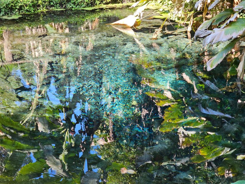 Chiang Mai: Sticky Waterfall Half-Day Tour & Hotel Transfers - What to bring: the difference between fun and frustration