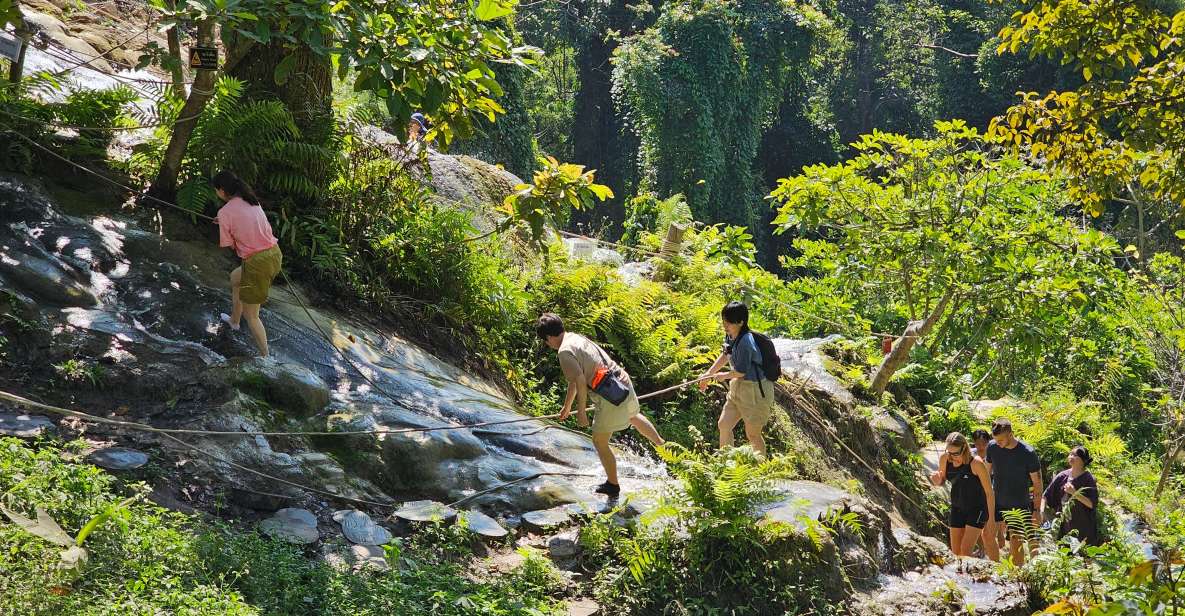 Chiang Mai: Sticky Waterfall Half-Day Tour & Hotel Transfers - Price and value: what you’re paying for at $30 per person