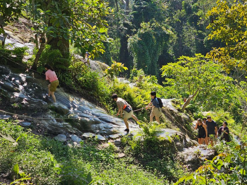 Chiang Mai: Sticky Waterfall Half-Day Tour & Hotel Transfers - Schedule realities: morning vs afternoon sessions