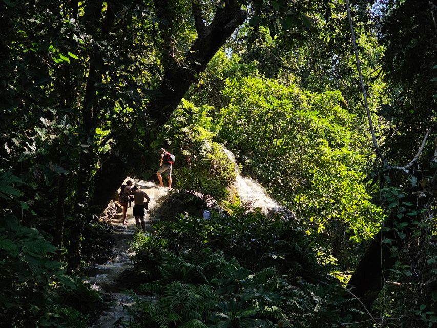 Chiang Mai: Sticky Waterfall Half-Day Tour & Hotel Transfers - Hotel pickup and the ride out of central Chiang Mai