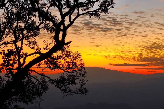 Chiang Mai Sunset Point, Wat Pha Lat, Wat Doi Suthep, Wat Umong - Key things I’d clock before you go