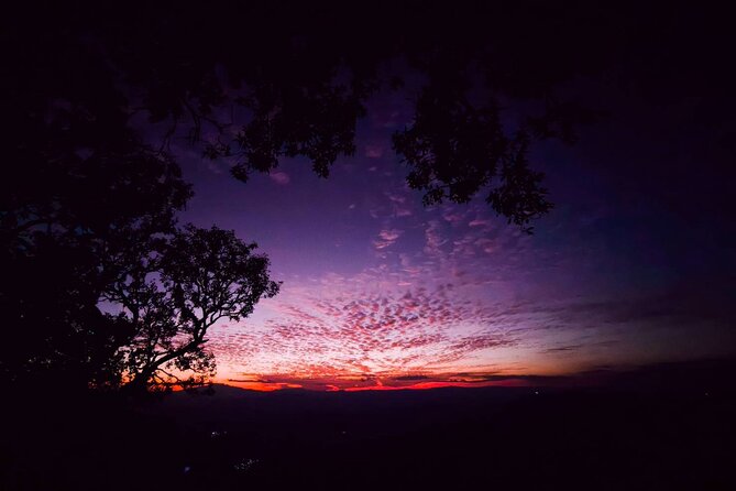 Chiang Mai Sunset Point, Wat Pha Lat, Wat Doi Suthep, Wat Umong - Timing that makes the temples feel doable