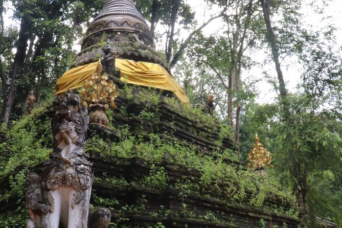 Chiang Mai Sunset Point, Wat Pha Lat, Wat Doi Suthep, Wat Umong - Who this tour suits best