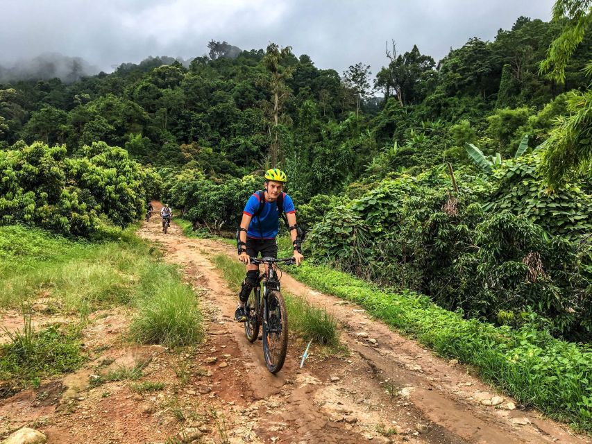 Chiang Mai: Suthep National Park Hiking & DH Mountain Biking - Hike-and-bike in Chiang Mai that actually feels like an adventure