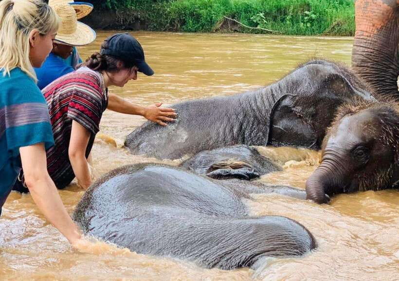 Chiang Mai | TeeTee Elephant Home Elephant Care Half-Day - Getting to Kuet Chang: the 1.5-hour transfer reality check