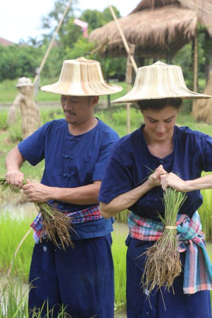 Chiang Mai: Thai Buffalo and Rice Planting Experience - Who This Tour Suits Best (And Who Might Skip)