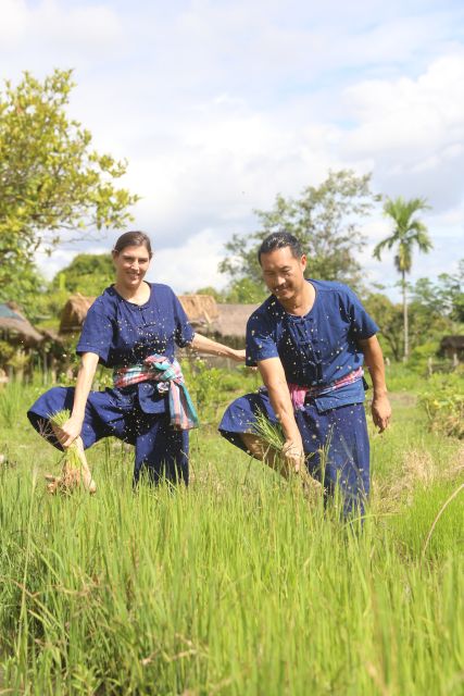 Chiang Mai: Thai Buffalo and Rice Planting Experience - Buffalo and Rice Planting in Chiang Mai’s Real Farm World