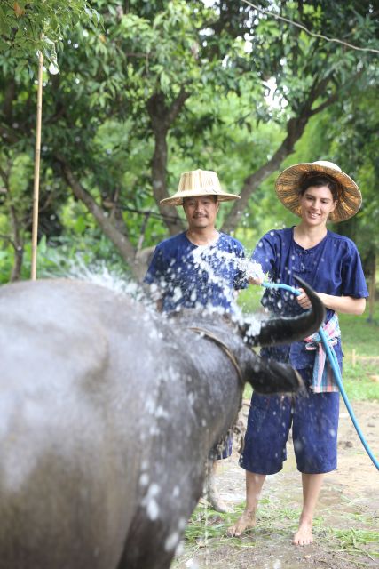 Chiang Mai: Thai Buffalo and Rice Planting Experience - The Red Taxi Ride: Simple Transport, Less Stress