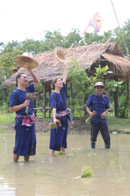 Chiang Mai: Thai Buffalo and Rice Planting Experience - Lunch on the Farm: Green Chicken Curry and Mango Sticky Rice