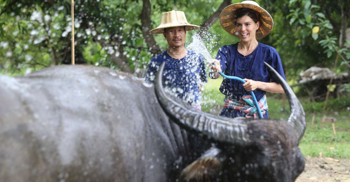 Chiang Mai: Thai Buffalo and Rice Planting Experience - Hang Tueng Farmstay & Workshop: Where the Day Starts