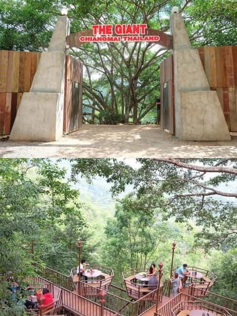 Chiang Mai: The Giant Café & Mae Kampong Village Day Trip - The Giant Chiangmai treetop café: coffee with jungle views and a skywalk