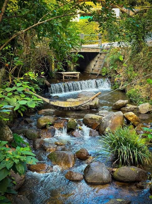 Chiang Mai: The Giant Café & Mae Kampong Village Day Trip - Price and value: what $54 buys for an 8-hour mountain day