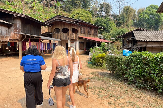 Chiang Mai to Doi Inthanon Full Day Shared Tour - Who this tour fits best (and who might feel frustrated)