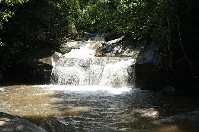 Chiang Mai Trekking Tour :Full day (no rafting) - Key highlights you should care about