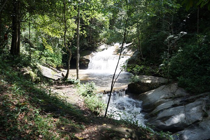 Chiang Mai Trekking Tour :Full day (no rafting) - How this Chiang Mai trekking day mixes jungle and elephants