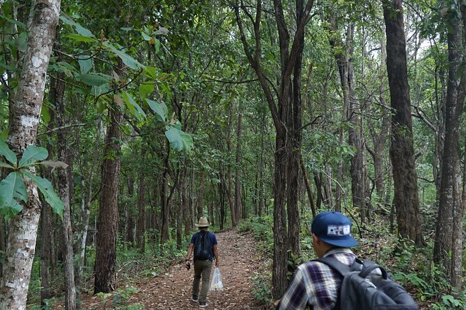 Chiang Mai Trekking Tour :Full day (no rafting) - Elephant Pride Sanctuary: feeding, bathing, and learning in one visit
