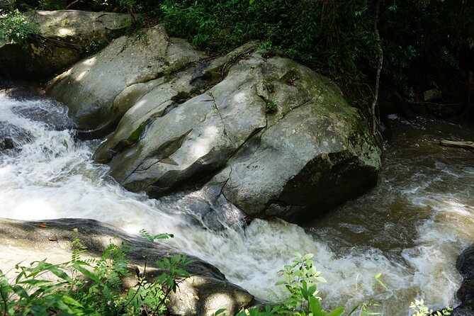Chiang Mai Trekking Tour :Full day (no rafting) - Group size, guide support, and what a cap of 9 changes
