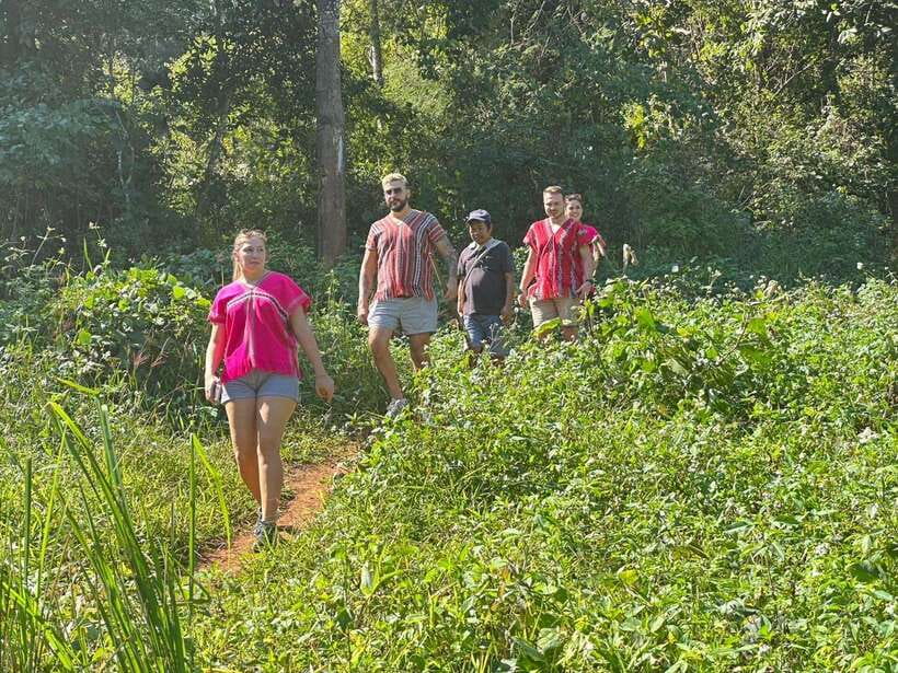 Chiang Mai Untouched Elephant: Nature Walk & Waterfall Trek - Price Reality Check: Is $51 Good Value?