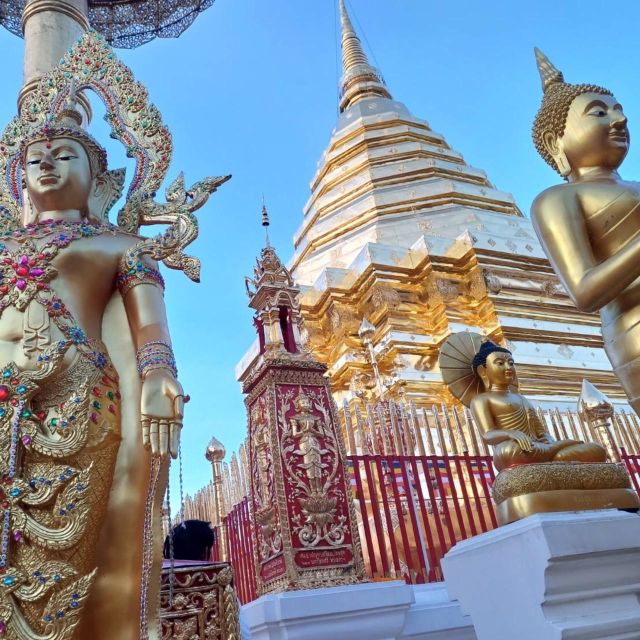 Chiang Mai: Wat Pha Lat & Wat Phra That Doi Suthep Tour - Why This Evening Chiang Mai Temple Pair Works