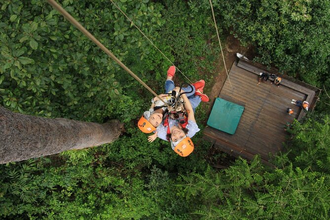 Chiang Mai Zip Line Experience - Key Things That Make This Zip Line Worth Your Time