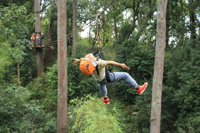 Chiang Mai Zip Line Experience - Gear Up: Safety Briefing, Harness Fit, and What the Guides Actually Do