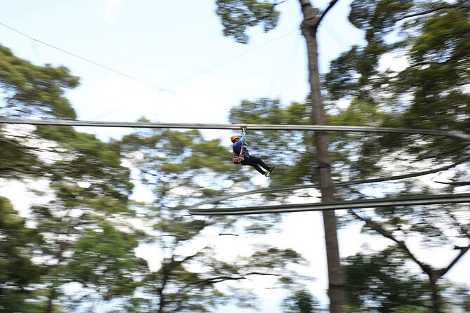 Chiang Mai Zip Line Experience - Break Time in the Trees: Fruit, Coffee/Tea, Water, and Views
