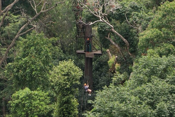 Chiang Mai Zip Line Experience - Price and Value: What You’re Really Paying $59.90 For